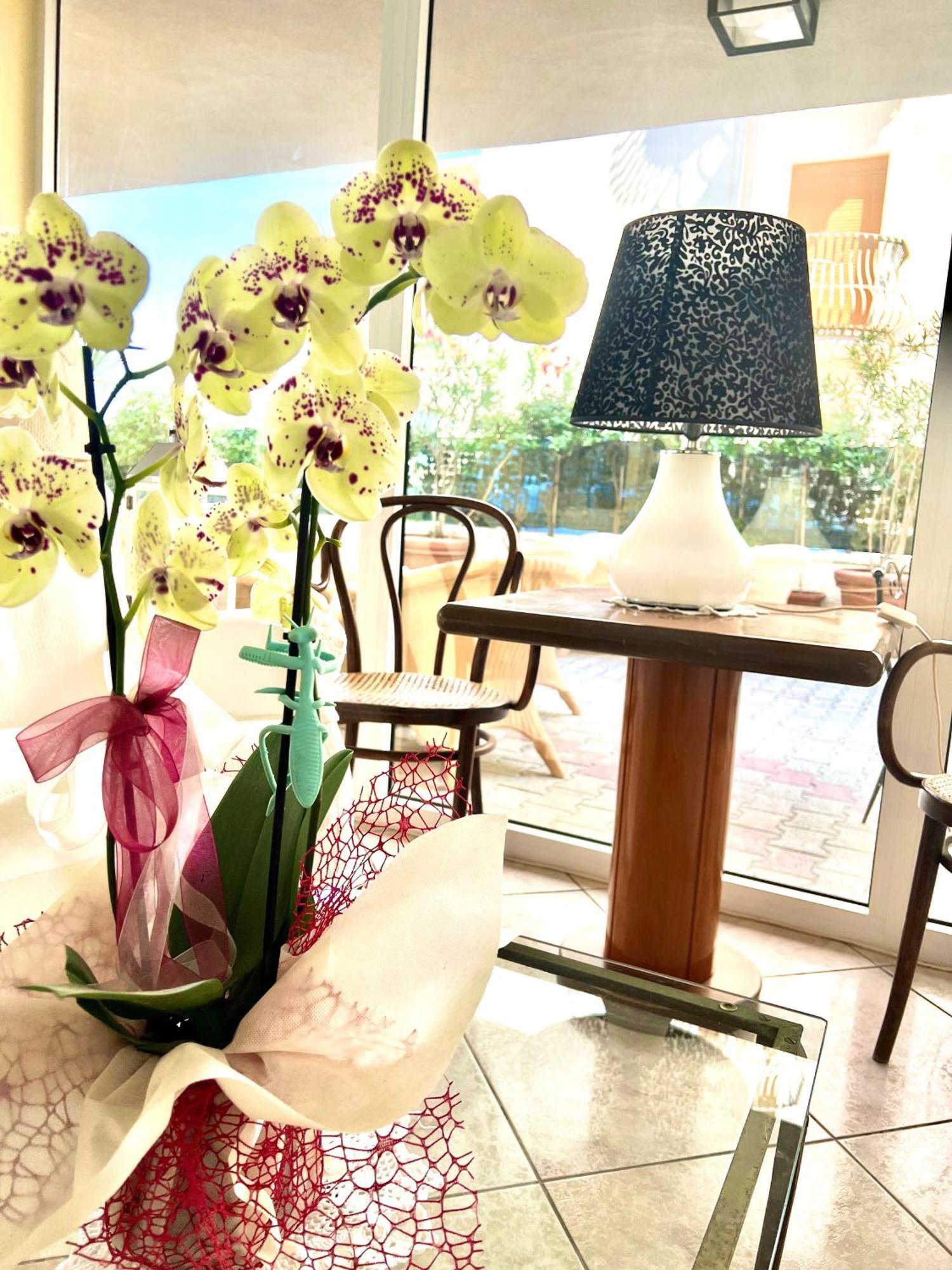 Hotel B&B Montecarlo มิลาโน แมริตทิมา ภายนอก รูปภาพ